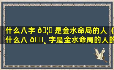 什么八字 🦊 是金水命局的人（什么八 🕸 字是金水命局的人的命运）